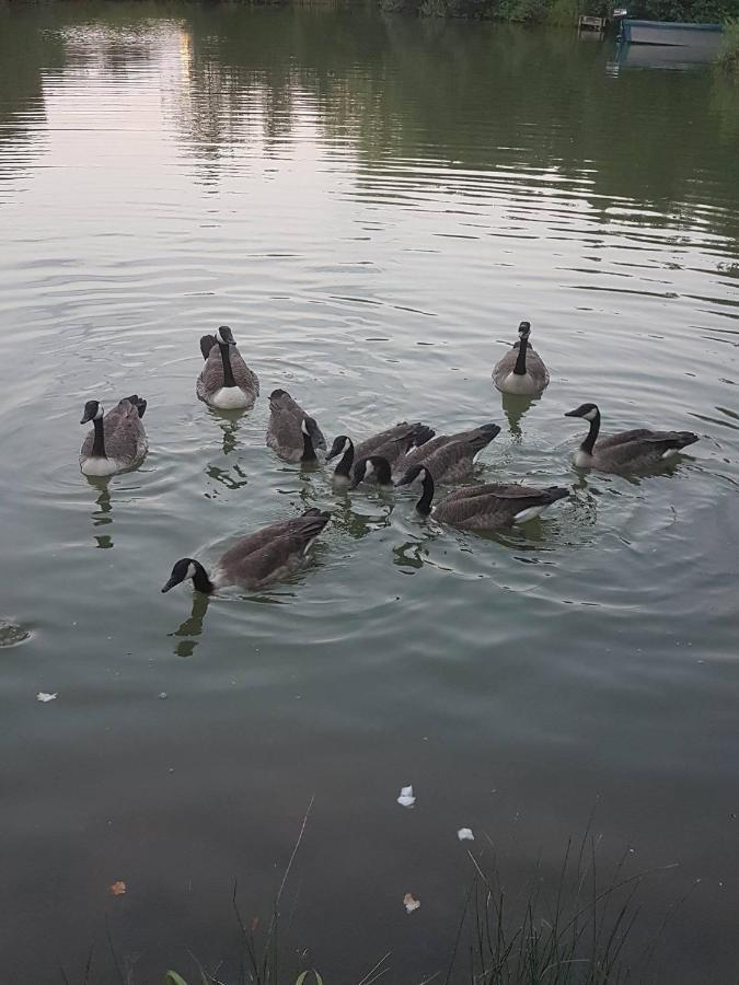 Elton Barn Fishery & Retreat Nottingham Esterno foto