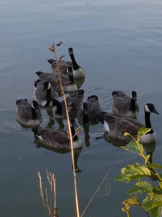 Elton Barn Fishery & Retreat Nottingham Esterno foto
