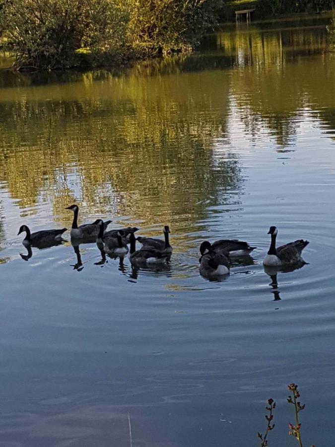 Elton Barn Fishery & Retreat Nottingham Esterno foto